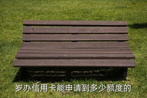 岁办信用卡能申请到多少额度的
