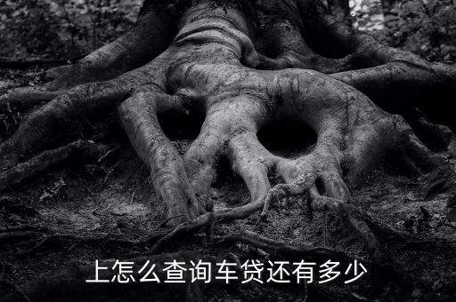 上怎么查询车贷还有多少