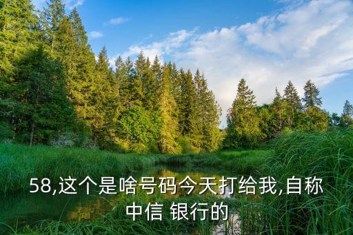 58,这个是啥号码今天打给我,自称中信 银行的
