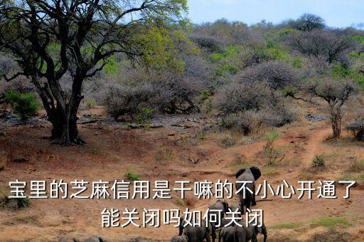宝里的芝麻信用是干嘛的不小心开通了能关闭吗如何关闭