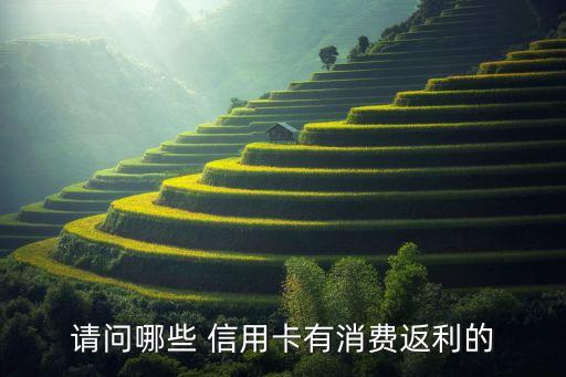 请问哪些 信用卡有消费返利的