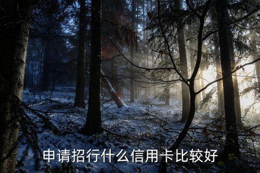 申请招行什么信用卡比较好