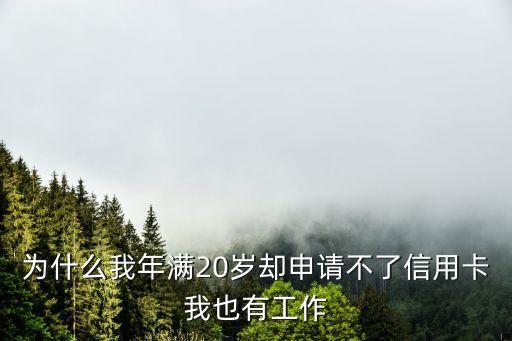 为什么我年满20岁却申请不了信用卡我也有工作