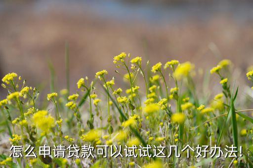 怎么申请贷款可以试试这几个好办法!