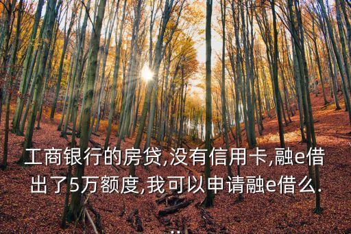 工商银行的房贷,没有信用卡,融e借出了5万额度,我可以申请融e借么...