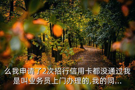 么我申请了2次招行信用卡都没通过我是叫业务员上门办理的,我的同...