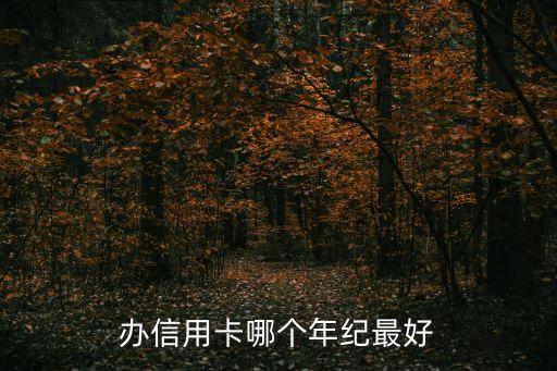 什么年龄段的人用信用卡好，哪些是容易办理信用卡的人群
