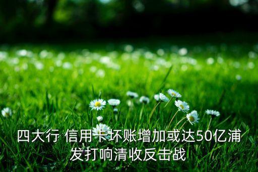 四大行 信用卡坏账增加或达50亿浦发打响清收反击战
