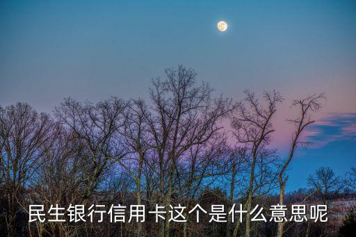 民生银行信用卡这个是什么意思呢