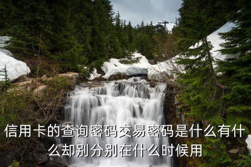 信用卡的查询密码交易密码是什么有什么却别分别在什么时候用