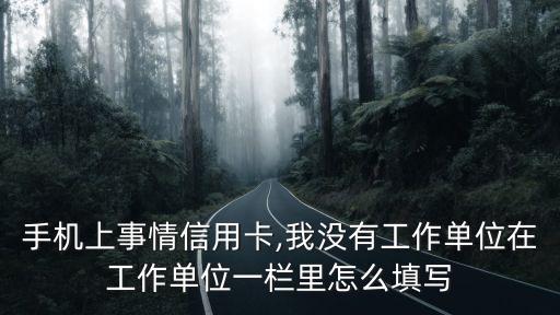 申请信用卡总工龄怎么填写,信用卡工作怎么填