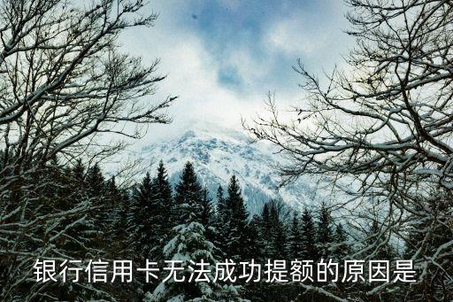 银行信用卡无法成功提额的原因是