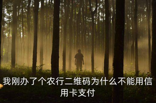 我刚办了个农行二维码为什么不能用信用卡支付