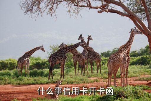 什么事信用卡开卡函