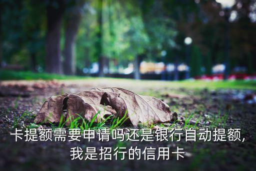 卡提额需要申请吗还是银行自动提额,我是招行的信用卡