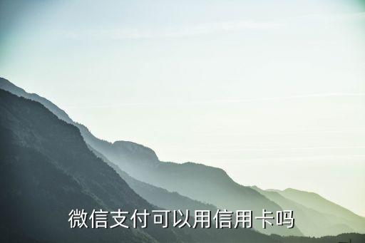 支付宝微信支持什么信用卡，哪个银行信用卡可以绑定微信支付跟支付宝支付