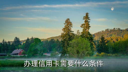 办理信用卡需要什么条件