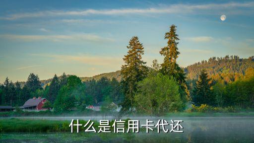 什么是信用卡代还