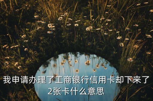 我申请办理了工商银行信用卡却下来了2张卡什么意思