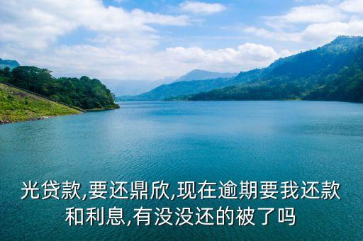 光贷款,要还鼎欣,现在逾期要我还款和利息,有没没还的被了吗