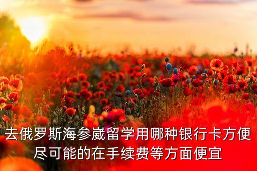 去俄罗斯海参崴留学用哪种银行卡方便尽可能的在手续费等方面便宜