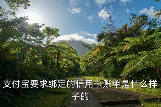 支付宝要求绑定的信用卡账单是什么样子的