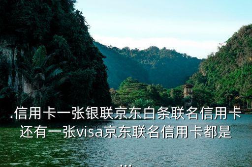 银联信用卡和visa信用卡额度统一吗,信用卡银联和visa