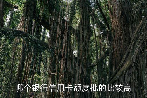 哪个银行信用卡额度批的比较高