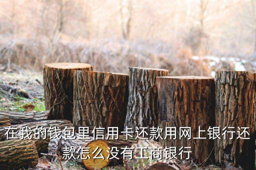 在我的钱包里信用卡还款用网上银行还款怎么没有工商银行