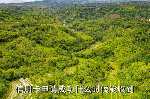 信用卡申请成功什么时候能收到