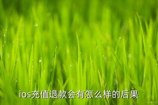 ios充值退款会有怎么样的后果