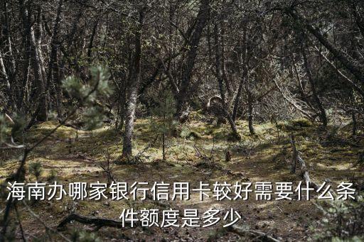 海南办哪家银行信用卡较好需要什么条件额度是多少