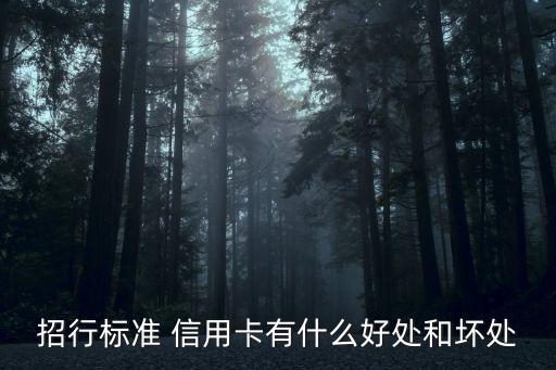 招行标准 信用卡有什么好处和坏处