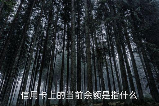 信用卡上的当前余额是指什么