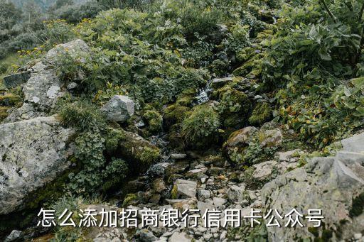 怎么添加招商银行信用卡公众号