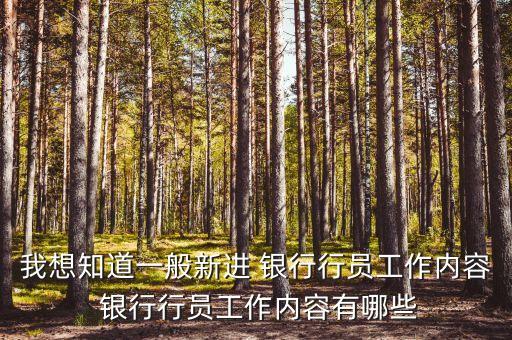 我想知道一般新进 银行行员工作内容 银行行员工作内容有哪些
