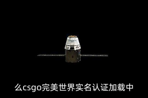 么csgo完美世界实名认证加载中