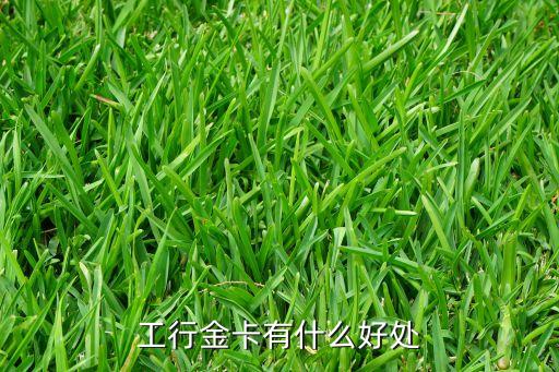 工行金卡有什么好处