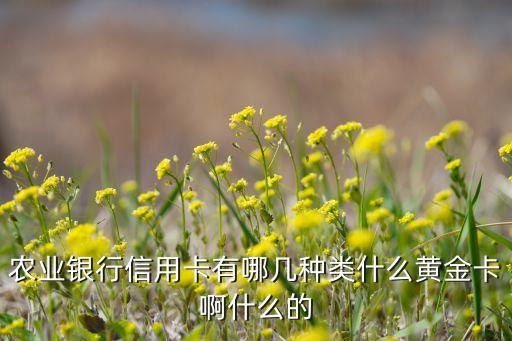 农业银行信用卡有哪几种类什么黄金卡啊什么的