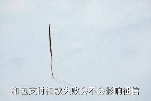 和包支付扣款失败会不会影响征信
