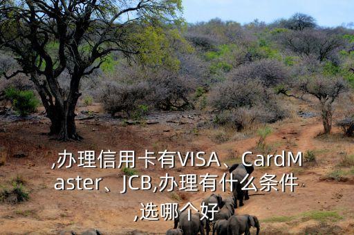 ,办理信用卡有VISA、CardMaster、JCB,办理有什么条件,选哪个好