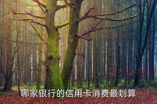 哪家银行的信用卡消费最划算