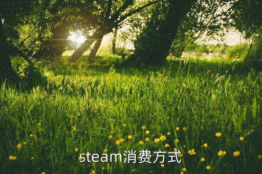 ns买游戏需要什么信用卡，steam消费方式