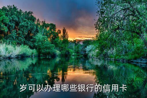 岁可以办理哪些银行的信用卡