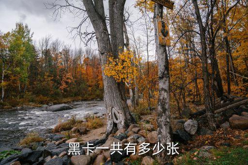 黑卡一共有多少张