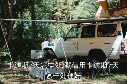 卡逾期7天怎样处理(信用卡逾期7天怎样处理好