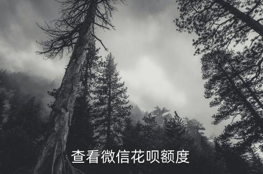 查看微信花呗额度