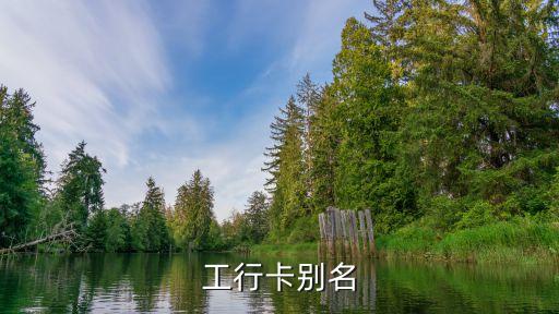 工行卡别名