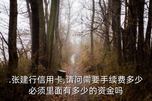 .张建行信用卡,请问需要手续费多少必须里面有多少的资金吗