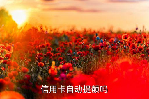 邮政信用卡无临时额度吗,邮政储蓄信用卡临时额度